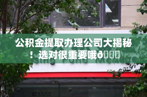 云霄公积金提取办理公司大揭秘！选对很重要哦😎